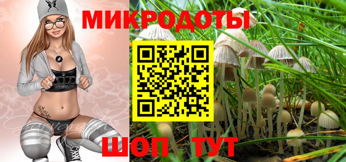 Псилоцибиновые грибы ЛСД Нурлат
